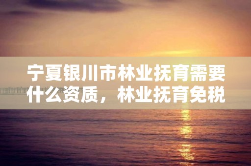 宁夏银川市林业抚育需要什么资质,林业抚育免税吗