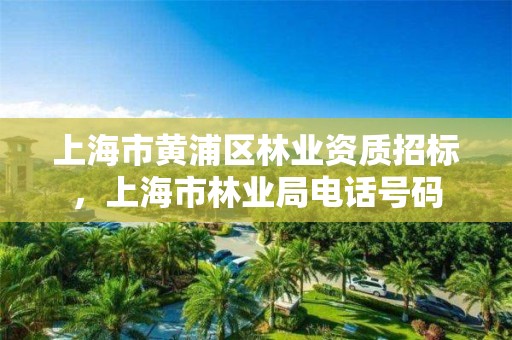 上海市黄浦区林业资质招标,上海市林业局电话号码