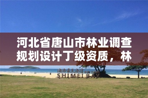 河北省唐山市林业调查规划设计丁级资质,林业调查规划设计资质证书丙级