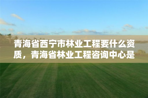 青海省西宁市林业工程要什么资质，青海省林业工程咨询中心是什么性质的单位