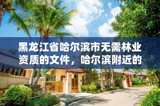 黑龙江省哈尔滨市无需林业资质的文件,哈尔滨附近的林业局