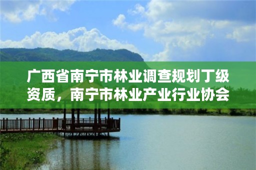 广西省南宁市林业调查规划丁级资质,南宁市林业产业行业协会