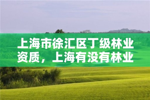上海市徐汇区丁级林业资质,上海有没有林业局