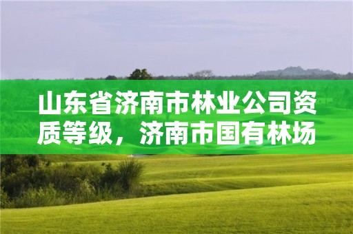 山东省济南市林业公司资质等级,济南市国有林场