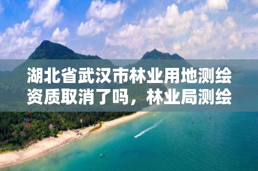湖北省武汉市林业用地测绘资质取消了吗,林业局测绘项目