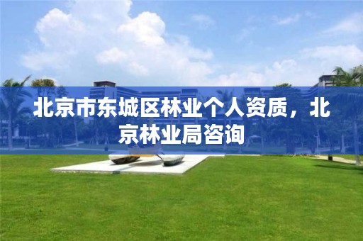 北京市东城区林业个人资质,北京林业局咨询