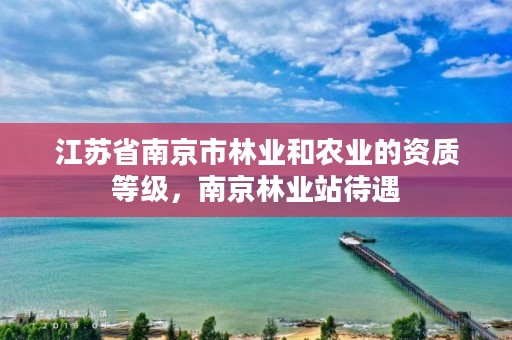 江苏省南京市林业和农业的资质等级,南京林业站待遇