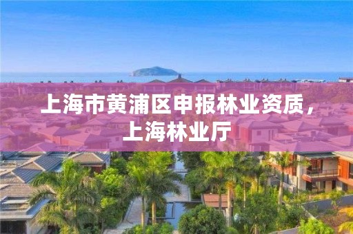 上海市黄浦区申报林业资质,上海林业厅