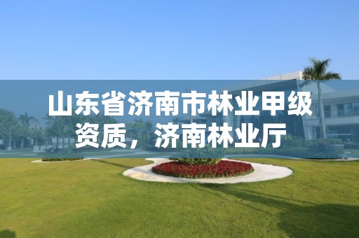 山东省济南市林业甲级资质,济南林业厅
