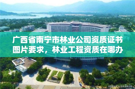 广西省南宁市林业公司资质证书图片要求,林业工程资质在哪办