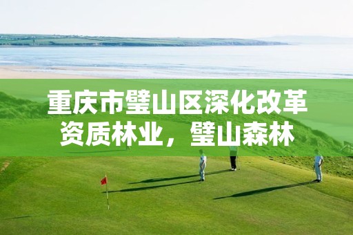 重庆市璧山区深化改革资质林业,璧山森林