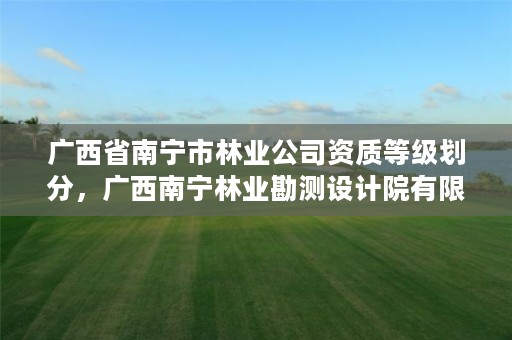 广西省南宁市林业公司资质等级划分,广西南宁林业勘测设计院有限公司