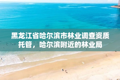 黑龙江省哈尔滨市林业调查资质托管,哈尔滨附近的林业局