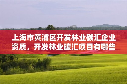 上海市黄浦区开发林业碳汇企业资质,开发林业碳汇项目有哪些具体要求