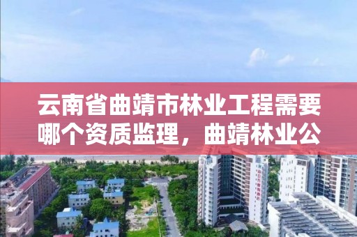 云南省曲靖市林业工程需要哪个资质监理,曲靖林业公司