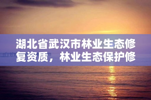 湖北省武汉市林业生态修复资质,林业生态保护修复