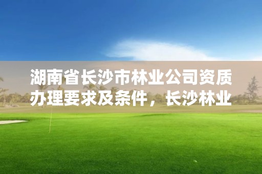 湖南省长沙市林业公司资质办理要求及条件，长沙林业局电话号码