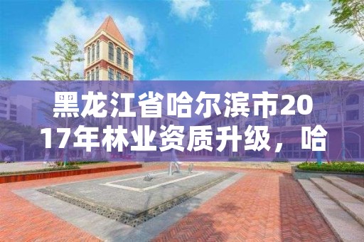 黑龙江省哈尔滨市2017年林业资质升级,哈尔滨林业总局
