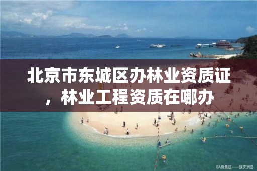 北京市东城区办林业资质证,林业工程资质在哪办