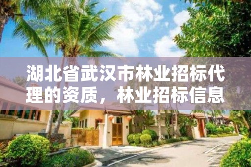 湖北省武汉市林业招标代理的资质,林业招标信息网