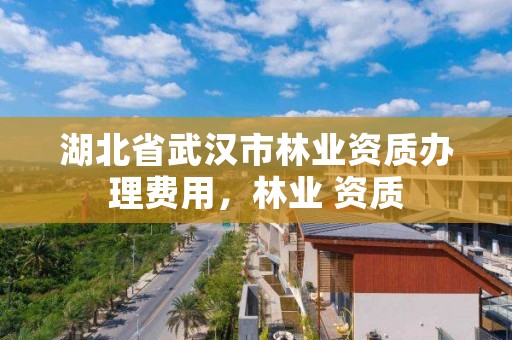 湖北省武汉市林业资质办理费用,林业 资质