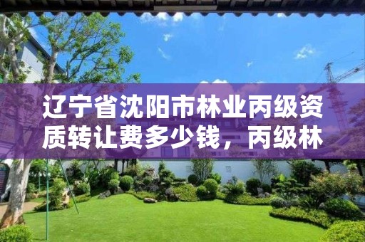 辽宁省沈阳市林业丙级资质转让费多少钱,丙级林业规划设计资质