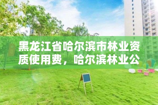 黑龙江省哈尔滨市林业资质使用费,哈尔滨林业公司