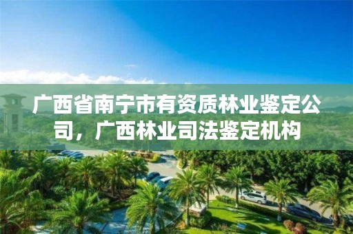 广西省南宁市有资质林业鉴定公司,广西林业司法鉴定机构
