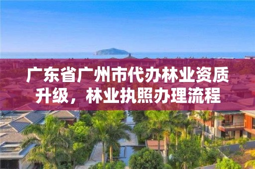 广东省广州市代办林业资质升级,林业执照办理流程
