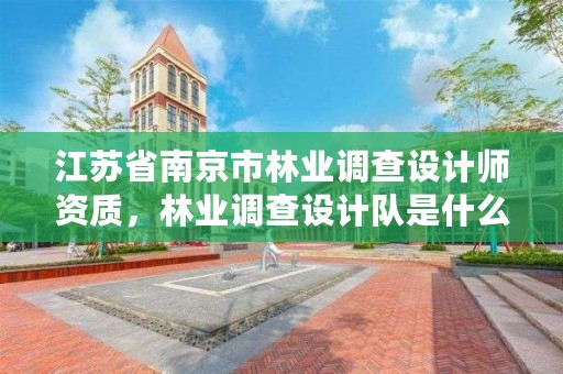 江苏省南京市林业调查设计师资质,林业调查设计队是什么性质的单位