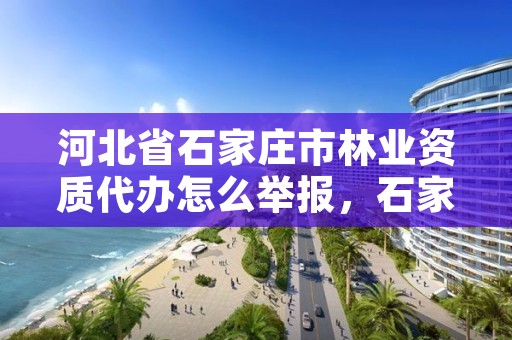 河北省石家庄市林业资质代办怎么举报，石家庄林业和草原局