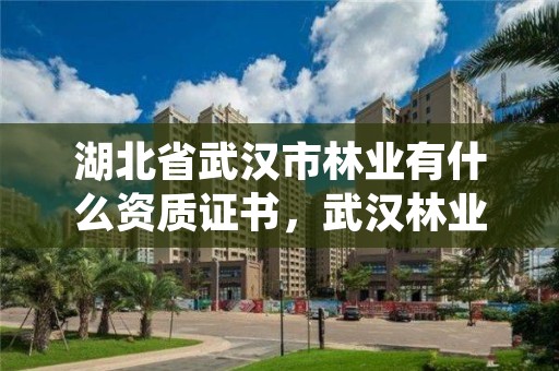 湖北省武汉市林业有什么资质证书,武汉林业集团地址