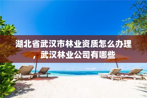 湖北省武汉市林业资质怎么办理,武汉林业公司有哪些
