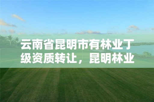 云南省昆明市有林业丁级资质转让,昆明林业公司招聘