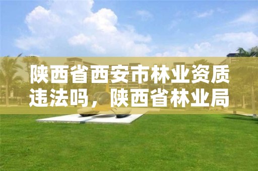 陕西省西安市林业资质违法吗,陕西省林业局工程项目