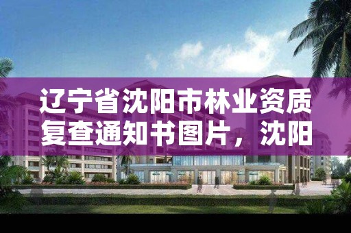 辽宁省沈阳市林业资质复查通知书图片,沈阳市林业局官网