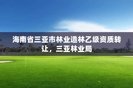 海南省三亚市林业造林乙级资质转让,三亚林业局