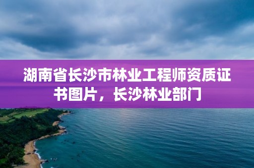 湖南省长沙市林业工程师资质证书图片，长沙林业部门