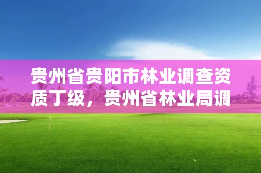 贵州省贵阳市林业调查资质丁级,贵州省林业局调查规划院