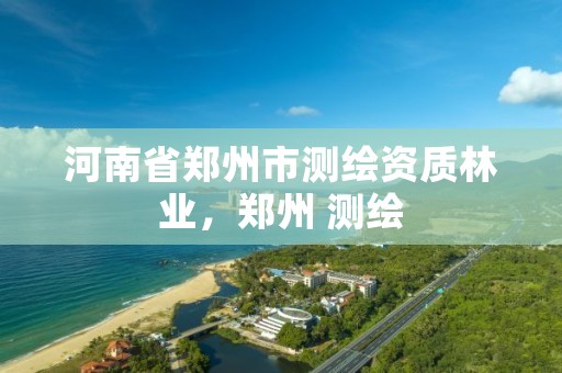 河南省郑州市测绘资质林业,郑州 测绘