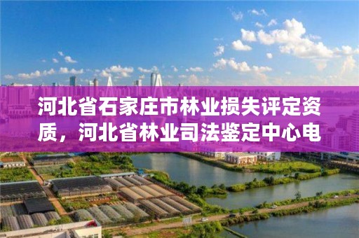 河北省石家庄市林业损失评定资质，河北省林业司法鉴定中心电话