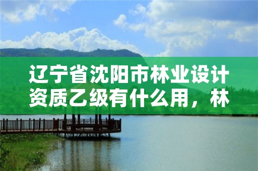 辽宁省沈阳市林业设计资质乙级有什么用，林业设计公司是做什么的