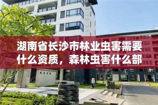 湖南省长沙市林业虫害需要什么资质，森林虫害什么部门管理