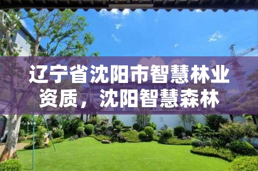 辽宁省沈阳市智慧林业资质,沈阳智慧森林