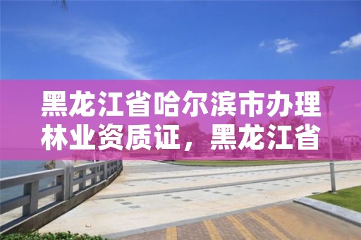 黑龙江省哈尔滨市办理林业资质证,黑龙江省哈尔滨市林业局官网