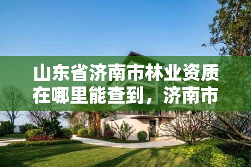 山东省济南市林业资质在哪里能查到,济南市林业局招聘公告