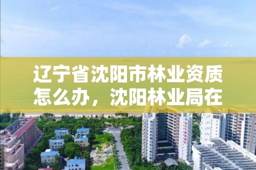辽宁省沈阳市林业资质怎么办,沈阳林业局在什么地方