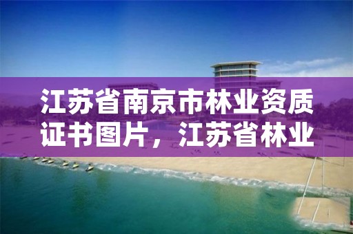 江苏省南京市林业资质证书图片,江苏省林业站