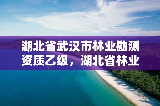 湖北省武汉市林业勘测资质乙级,湖北省林业勘测设计院