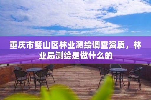 重庆市璧山区林业测绘调查资质,林业局测绘是做什么的